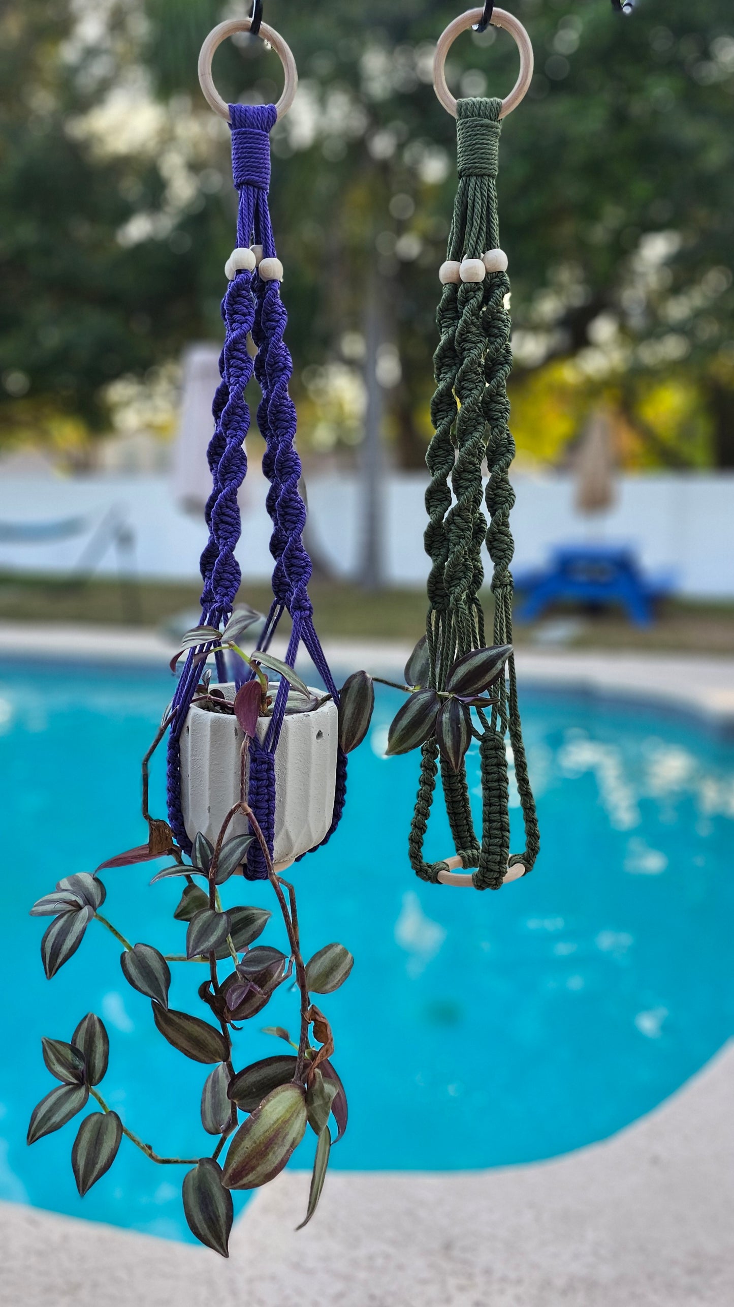 Macrame Plant Hanger (No Tassel)